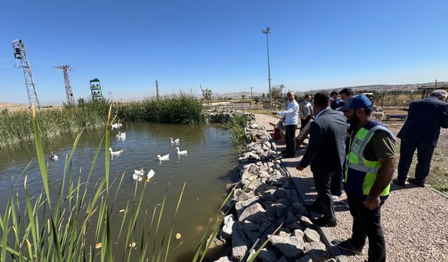 Sincan’ın Eko Çiftliği uluslararası heyeti ağırladı