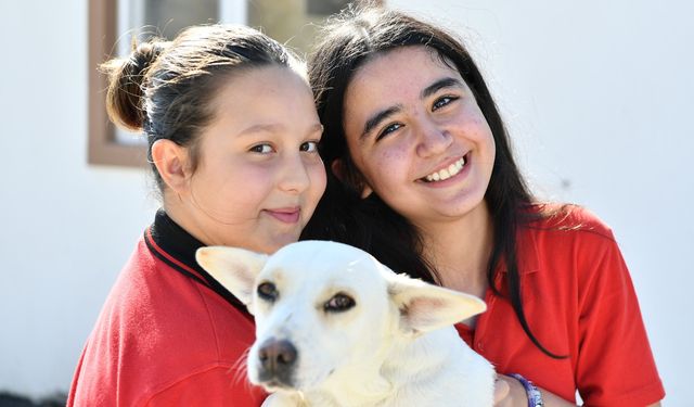 Mamaklı öğrencilerden patili dostlara destek