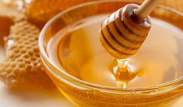 Türk Patent’ten Devrek kestane balına tescil