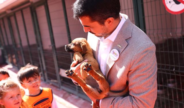 Çankaya’da minik eller, patili dostlarla buluştu