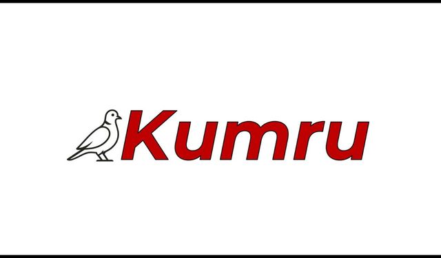 Kumru nedir? Kumru’ya en çok sorulan sorular nelerdir?