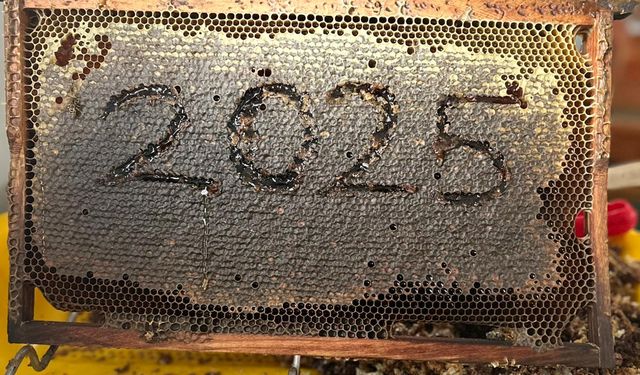 Mamak’ta üretilen lavanta balı kreşlerde dağıtıldı