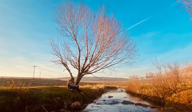 Patnos sonbaharda renk cümbüşüne büründü