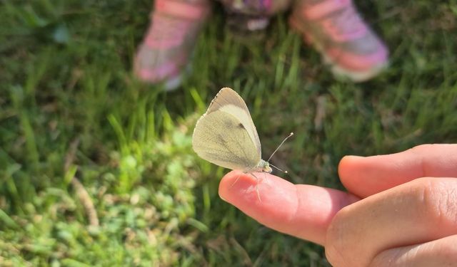 “Kepez’de 5 yaşındaki doğa kaşifleri iş başında”