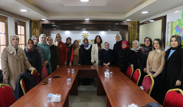 Sivas AK Parti’den kadına şiddetle mücadelede eylem vurgusu