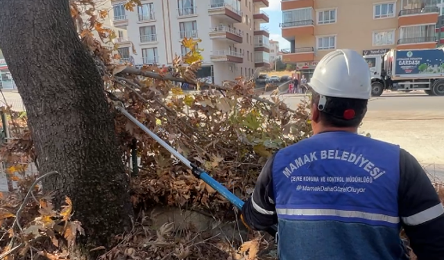 Mamak’ta sonbahar budama çalışmaları hız kesmeden sürüyor
