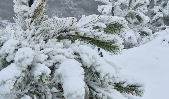 Muğla'da yüksek kesimler beyaza büründü