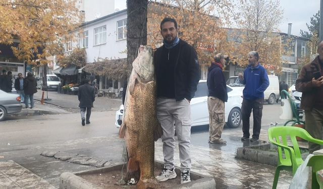 Elazığ’da 60 kiloluk turna balığı şaşırttı