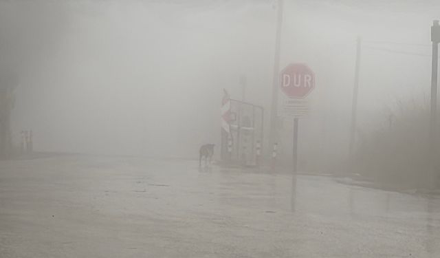 Bolu'da sis, görüş mesafesini 30 metreye kadar düşürdü