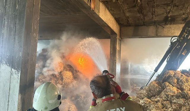 Hatay’da samanlık yangını 10 saatte söndürüldü