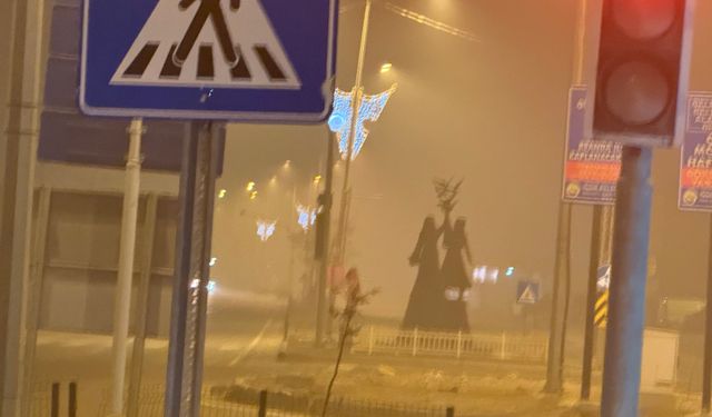 Iğdır’da sürücüler sis nedeniyle trafikte zorlandı