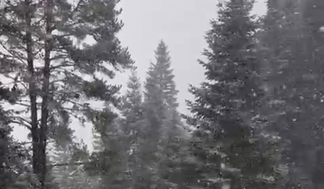 Kış turizminin gözdesi Ilgaz beyaza büründü