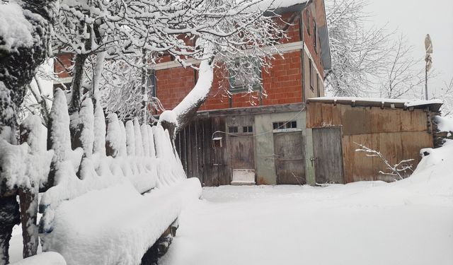 Kastamonu’nun yüksek kesimleri karla kaplandı