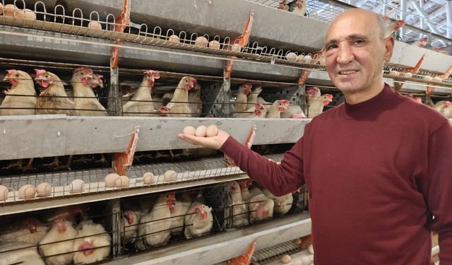 Simav’da yeni yumurta üretim tesisi faaliyete geçti