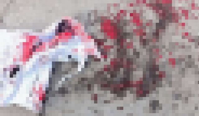 Altındağ’da başıboş köpek dehşeti