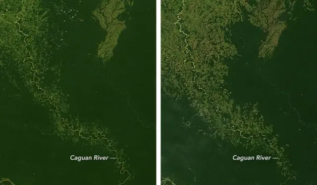 Brezilya, vergi teşviğini kaldırarak Amazonları riske attı