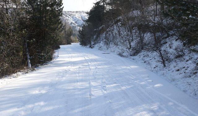 Van Bölgesi’nde yüksek kesimlere kar uyarısı