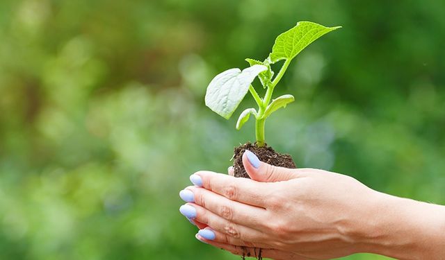 Tarım sigortalarında yeni dönem