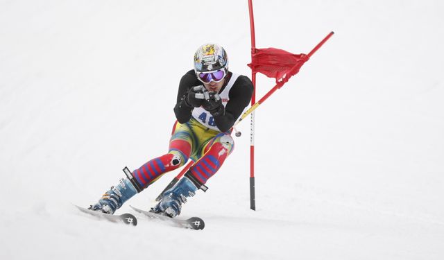 Alp disiplini nedir? Alp disiplini hakkında merak edilenler