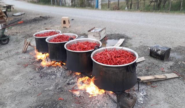 Çarşamba’nın tescilli lezzeti biber tuzu yurt dışına açılıyor