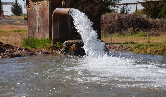 Şanlıurfa’da yasak mısır ekimi ve kaçak elektrik alarmı