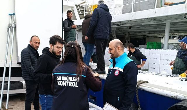 Kırklareli'de hamsi sevkiyatına sıkı kontrol