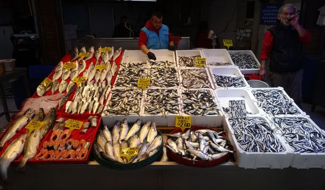 Karadeniz’de sezon sonu hamsi bolluğu şaşırttı