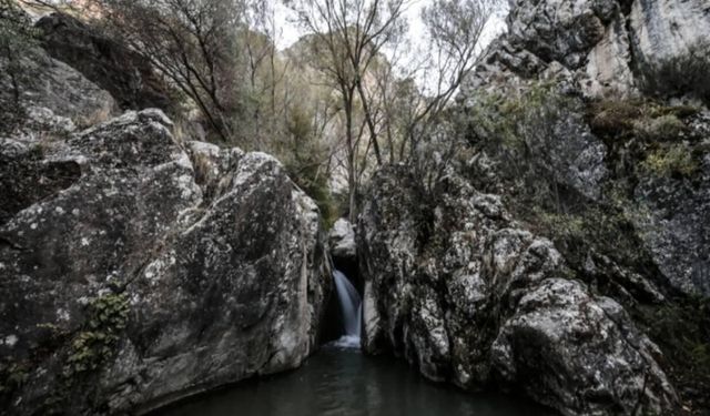 Kıbrıs Vadisi söyleşisi Ankara Kent Konseyi’nde