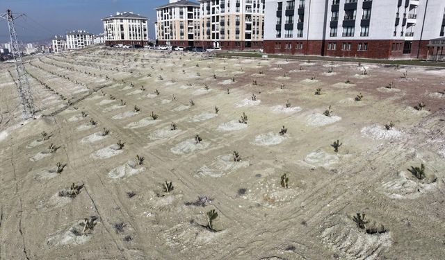 Saraycık Mahallesi’nde yeşil seferberlik başladı