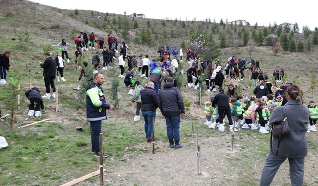 Mamak’ta yeşil gelecek için fidan seferberliği