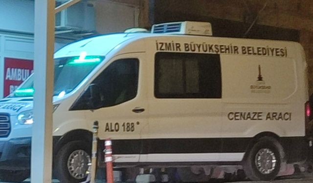 Dereden geçmeye çalışırken can verdi