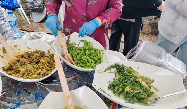 Erzin’de Ot Festivali yağmur nedeniyle yarıda kaldı