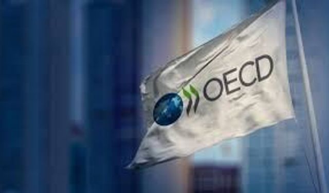 OECD Türkiye raporu: Enflasyon yukarı, büyüme aşağı