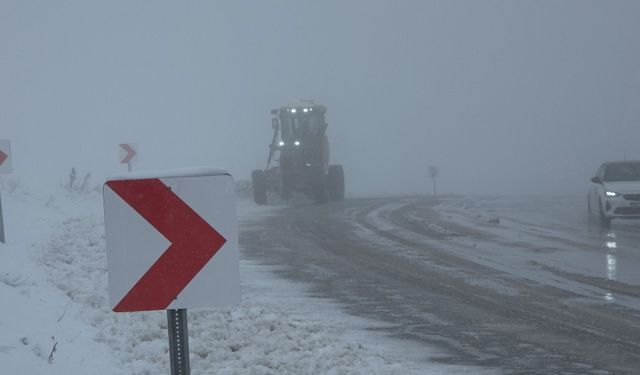 Van’da kar ve sis hayatı felç etti