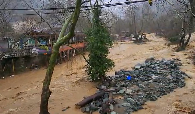Yalova’da taşkın felaketi: Hayvanlar sele kapıldı