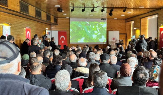 Yenice ıhlamur balı dünya pazarına hazırlanıyor