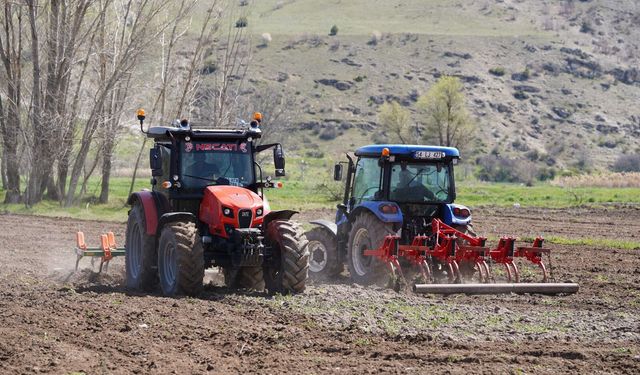 Kızılcahamam’da 40 yıl sonra pirinç üretimi yeniden başladı