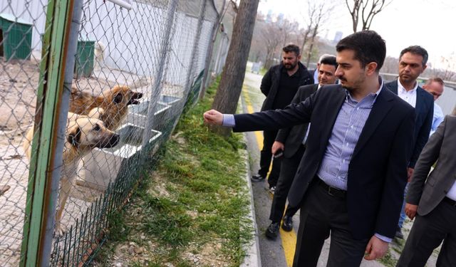 Çankaya’da bebek kütüphanesi ve park çalışmaları incelendi