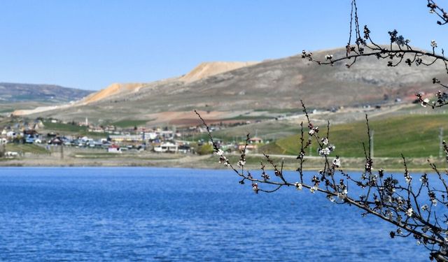 Kızılca Göleti yeniden hayat buldu