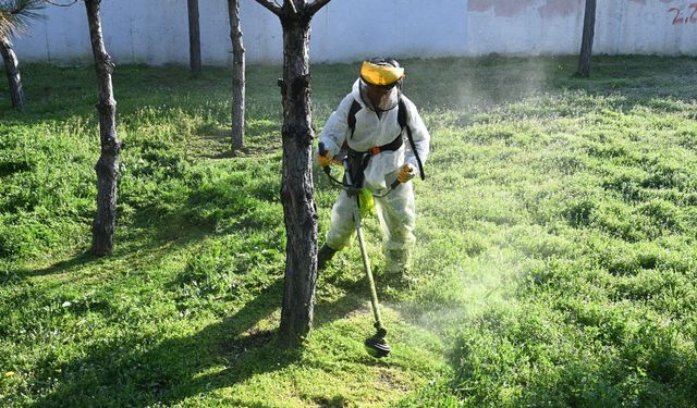 Mamak’ta park ve yeşil alanlarda bahar bakımı