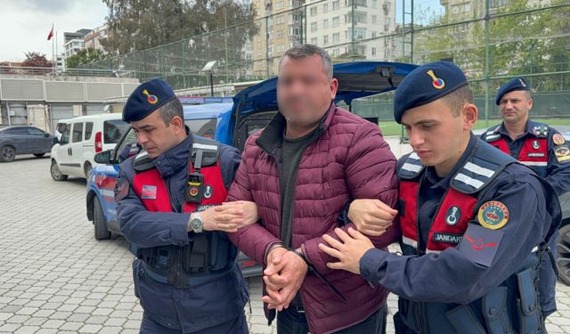 Samsun’da büyükbaş hayvan dolandırıcılığı