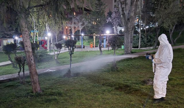 Çankaya’da sinek ve haşereye karşı gece ilaçlama