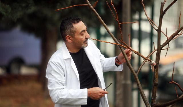 Yenimahalle’de bahçe bitkileri kursuna yoğun ilgi