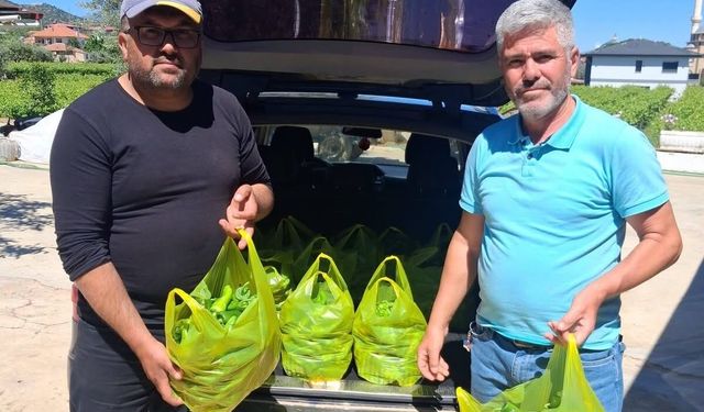 Emcelli biberi Avrupa'ya açıldı