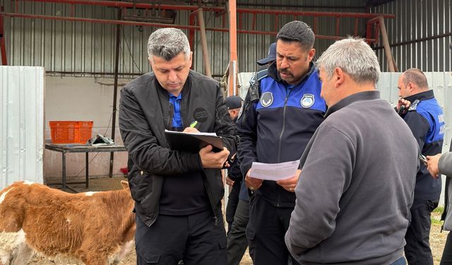 Sincan’da Ruhsatsız Ahırlara Bayram Öncesi Denetim