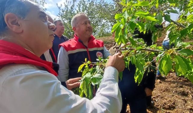 Aydın’da dolu sonrası tarım arazilerinde hasar tespiti yapıldı