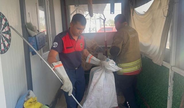 Hatay'da eve giren yılanı itfaiye çıkardı
