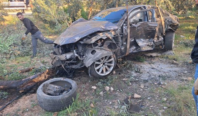 Mersin Mut’ta otomobil zeytin bahçesine savruldu