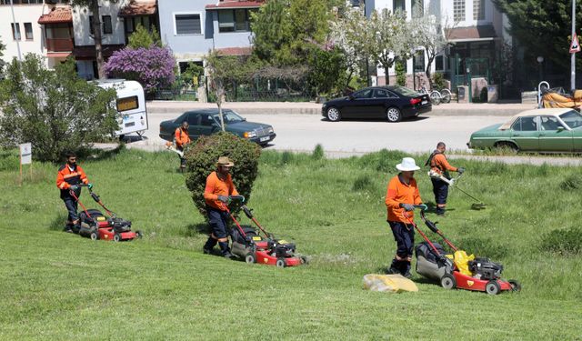 Çankaya’da yeşil alanlar yaza hazırlanıyor
