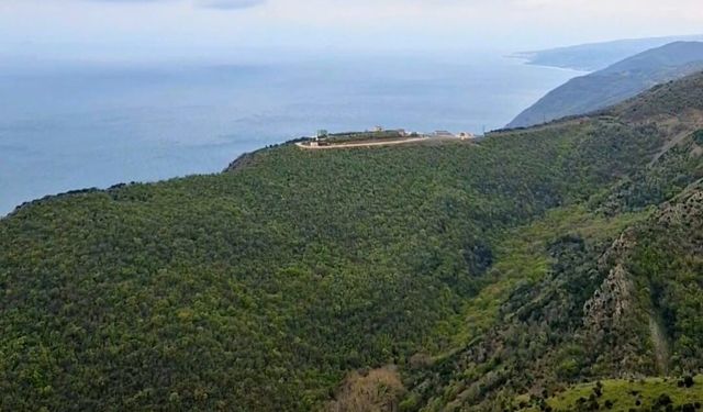 Tekirdağ’da ormanlara giriş yasaklandı